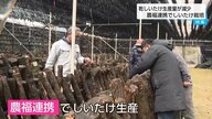生産量の減少が止まらない…全国2位の乾しいたけ生産量維持を目指して　農福連携・小学校跡地活用・未経験者へのノウハウ提供【宮崎発】