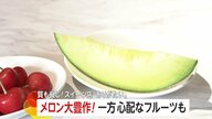 メロン大豊作で“1玉”200円～300円程度ダウン…一方、サクランボは「収穫量が半分くらい減るのでは」天候や病気の影響