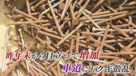 数年前から？カルスト台地で有名な「平尾台」に大量のクギ散乱…住民からは困惑の声【福岡発】