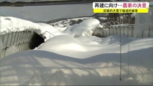 農業用ハウスが雪で倒壊 再建に向けた農家の決意 秋田・横手市
