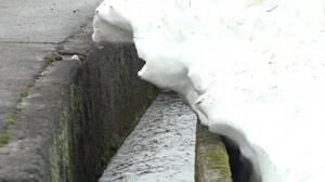 発見時の水深は8cm…用水路で81歳男性が死亡 幅と深さ50cmで誤って転落か 前日夕方から行方不明