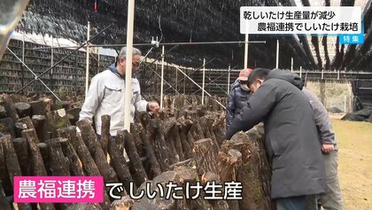 生産量の減少が止まらない…全国2位の乾しいたけ生産量維持を目指して　農福連携・小学校跡地活用・未経験者へのノウハウ提供【宮崎発】