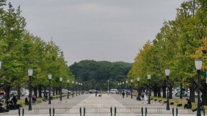 やっぱり遅い紅葉…東京都心の色づきも遅れ気味“秋の高温”の影響　週末は“気象予報士泣かせ”の気圧パターン
