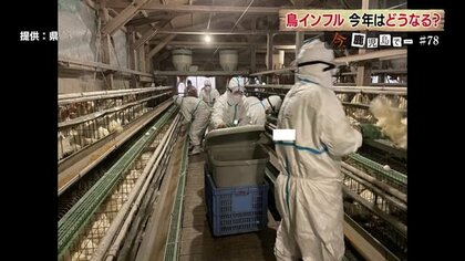 「言葉にならなかった…」ニワトリ大量殺処分からまもなく1年　鳥インフルエンザ対策進める鹿児島の養鶏農家