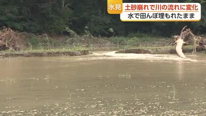 「全部海ですよ」稲穂が消えた田んぼ　土砂が余川川をせき止め、富山・氷見市で深刻な浸水被害