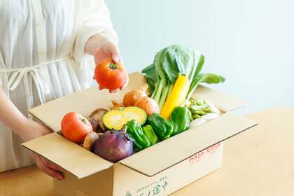 「おいしい」の先にあるもの。坂ノ途中の「旬のお野菜セット」が、暮らしと農業にもたらす豊かな循環