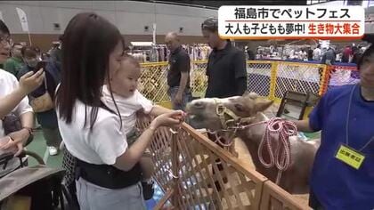 100種類の生き物大集合！　“ペットフェス”開催＜福島県福島市＞