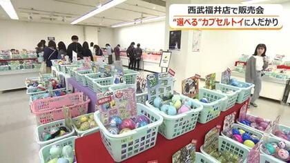 欲しいものを選べる！カプセルトイ販売イベント　大人も子供も夢中…人気キャラから実用品まで600シリーズ　5月6日まで西武福井店で開催　