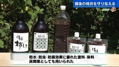抗ウイルス、防水、防虫効果がある柿のしぼり汁「柿渋」　村上水軍も使っていた伝統の技を後世に【広島発】