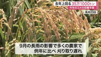 宮城の今年のコメ収穫量は去年上回る３５万１０００トン予想　作況指数は平年並み超えも長雨で作業に影響