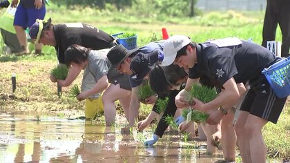 高校生から大ベテランまで…143人が“苗のバトン”つなぐ「全日本田植え選手権」　一般参加は4年ぶり【岩手発】