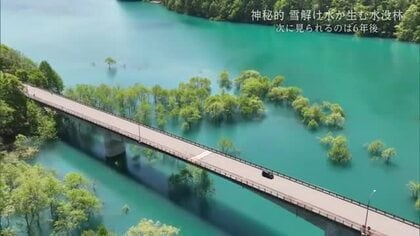 雪解け水が生みだす“水没林”　仙北市・秋扇湖に広がる神秘的な光景　次に見られるのは6年後　秋田
