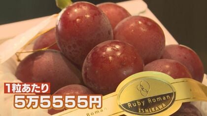 1房150万円で落札されたブドウ「ルビーロマン」　宝石のように赤く輝く大粒…そのお味は【石川発】