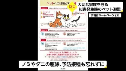 宮崎市 セール ペット避難所