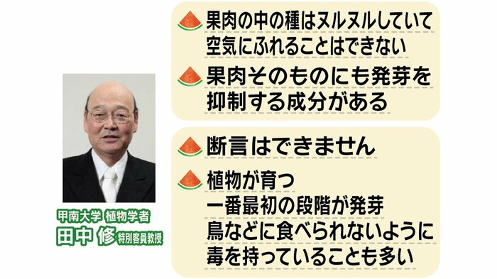 発芽には「適温」「水」「空気」 そもそも果肉には発芽抑制成分