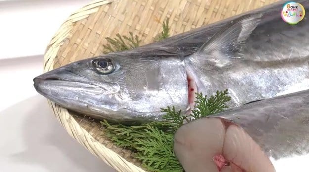 サワラ