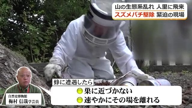 刺されてしまったら…