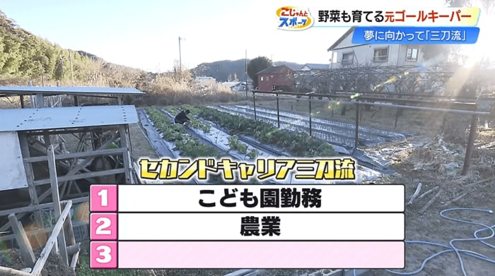 春野町で農業に取り組む井上さん