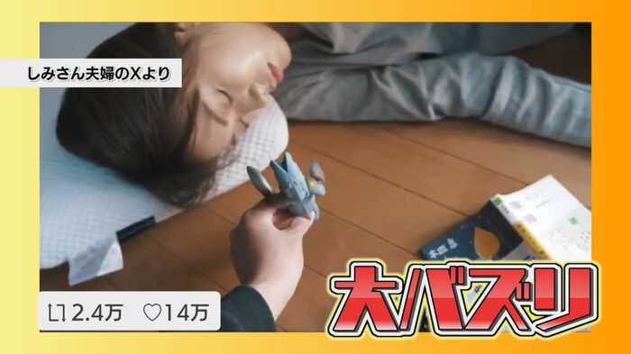 夫婦のほのぼのとした日常生活を描く投稿