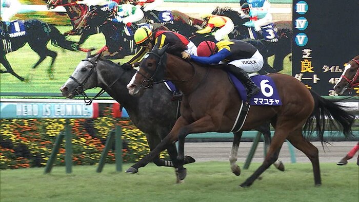 2023年 スプリンターズS・GⅠを制したママコチャ