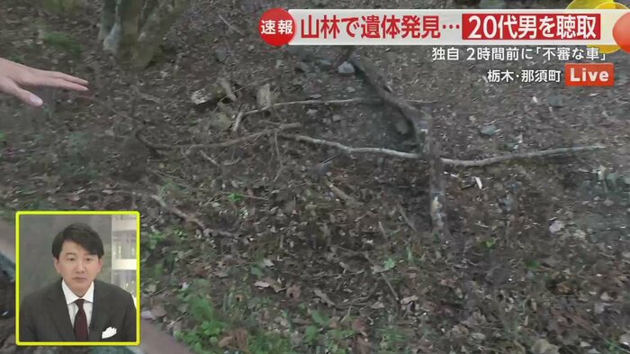 現場には不自然に焼け焦げた木が残されている