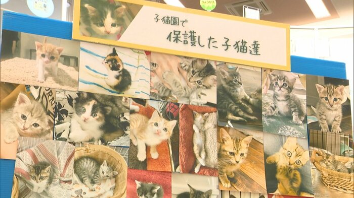 2022年の写真展(富士市)
