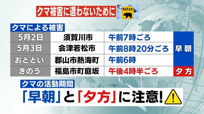 時間帯にも注意を 基本は夜行性 夕方から早朝は活動時間