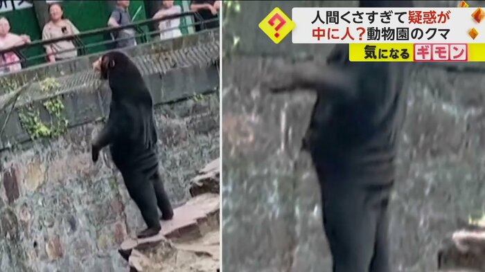 クマの腰の辺りにたるみがある