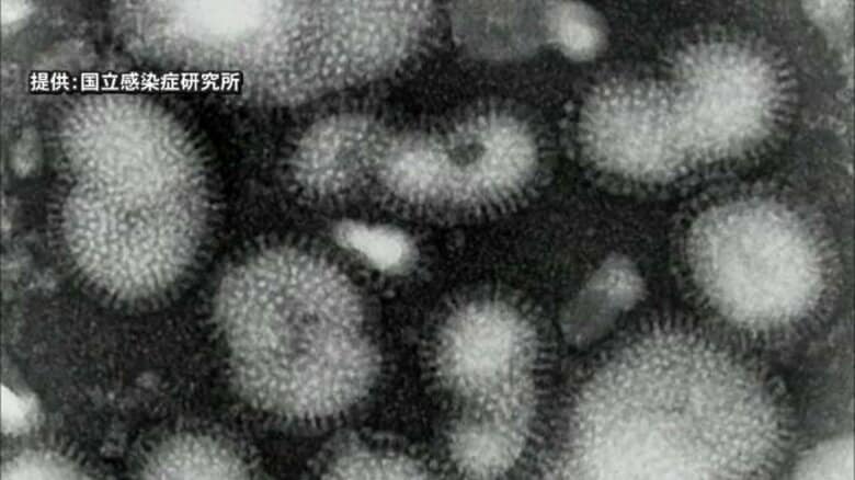 インフルエンザの感染拡大が止まらず…早くも「警報」発表　過去10年で最速　学級閉鎖も相次ぐ　福井　　｜FNNプライムオンライン