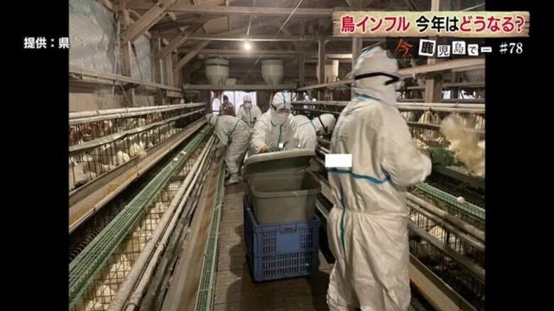 「言葉にならなかった…」ニワトリ大量殺処分からまもなく1年　鳥インフルエンザ対策進める鹿児島の養鶏農家｜FNNプライムオンライン