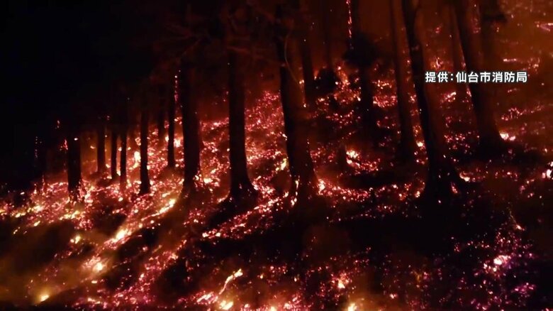 【山火事】「雨に消してもらうしかない」市の面積の8％の約2600ヘクタール焼失　佐々木朗希投手が1000万円を寄付　岩手・大船渡市｜FNNプライムオンライン