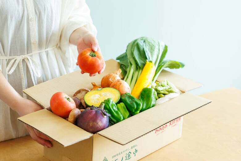 「おいしい」の先にあるもの。坂ノ途中の「旬のお野菜セット」が、暮らしと農業にもたらす豊かな循環