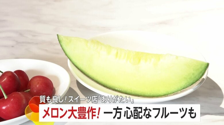 メロン大豊作で“1玉”200円～300円程度ダウン…一方、サクランボは「収穫量が半分くらい減るのでは」天候や病気の影響｜FNNプライムオンライン