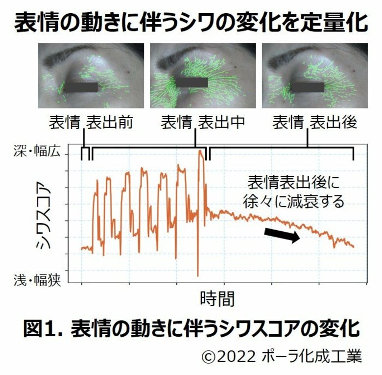 表情の動きに伴うシワの変化を定量化する評価法を開発 表情によって一時的に生じるシワが加齢に伴い消えにくくなることを確認
