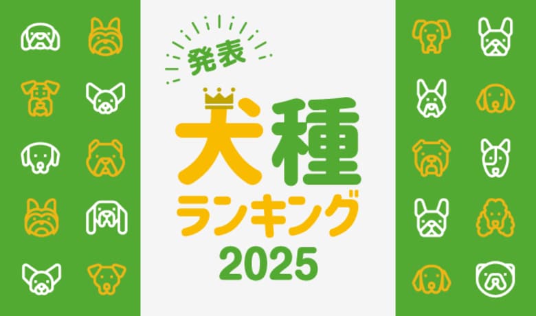 最新版!『人気犬種ランキング2025』