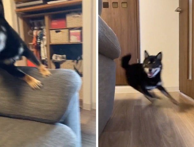素早すぎる…!