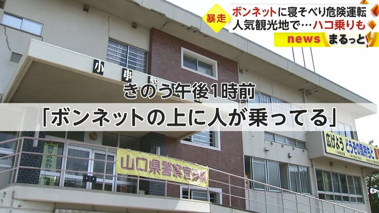 2月5日午後1時前、目撃者から通報
