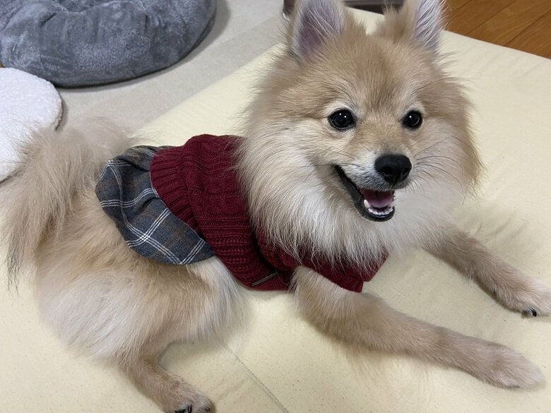 セーター着用　似合う？