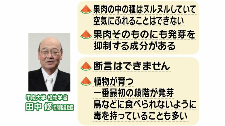 発芽には「適温」「水」「空気」　そもそも果肉には発芽抑制成分