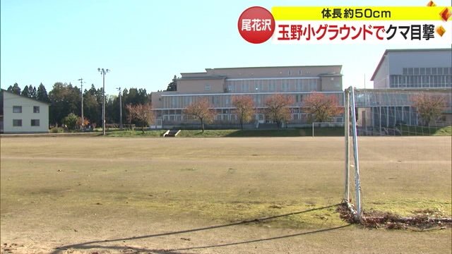 クマが目撃された玉野小学校のグラウンド