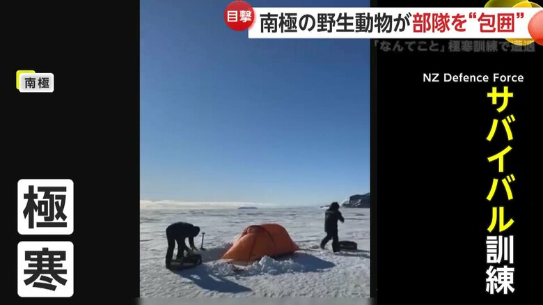 南極で訓練中だったニュージーランド軍
