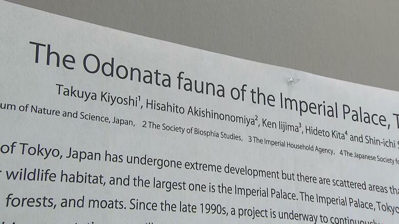 「皇居のトンボ相」のポスター（一部）