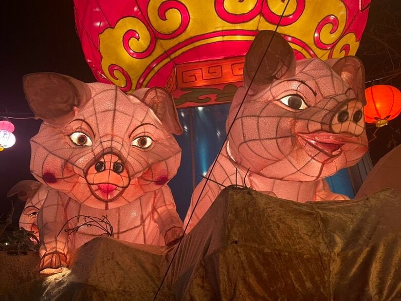 1月29日に開幕だ