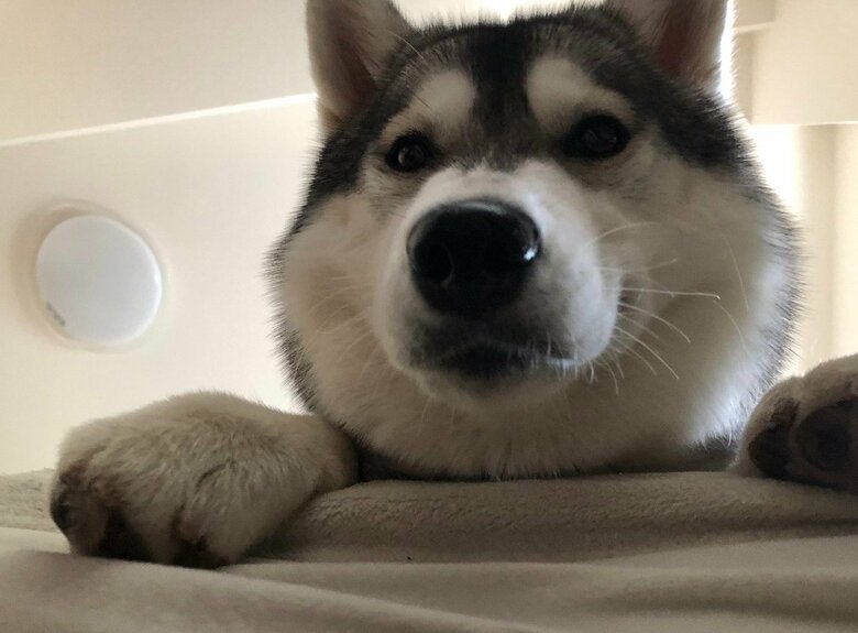 朝起きるとこんな光景があることも