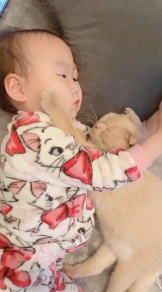 モフルンくんとつきのちゃん（提供：tsukiakari510さん）