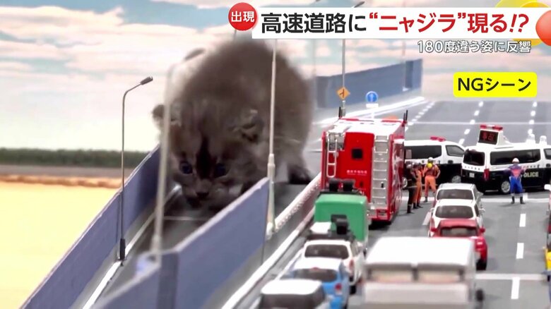 高速道路を降りるココアくん（提供：nekozuki5281@TAKA）