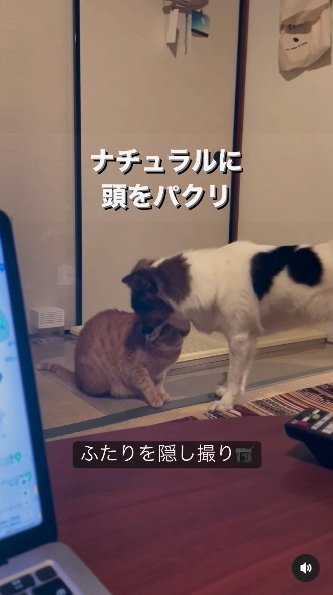 提供：naomiさん