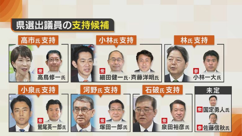 新潟県選出議員の支持候補