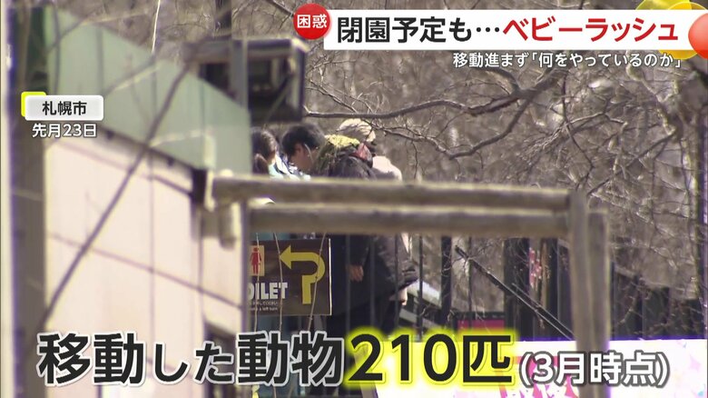 3月時点で移動した動物は210匹