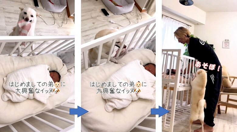 息子さんとの初対面の様子